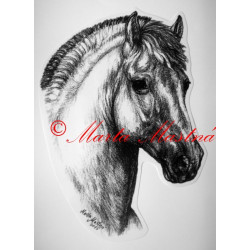 Samolepka kůň fjordský pony