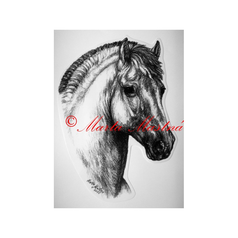 Samolepka kůň fjordský pony
