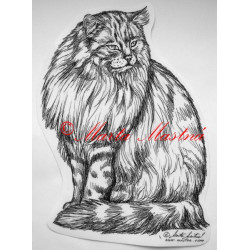 Kočka norská lesní