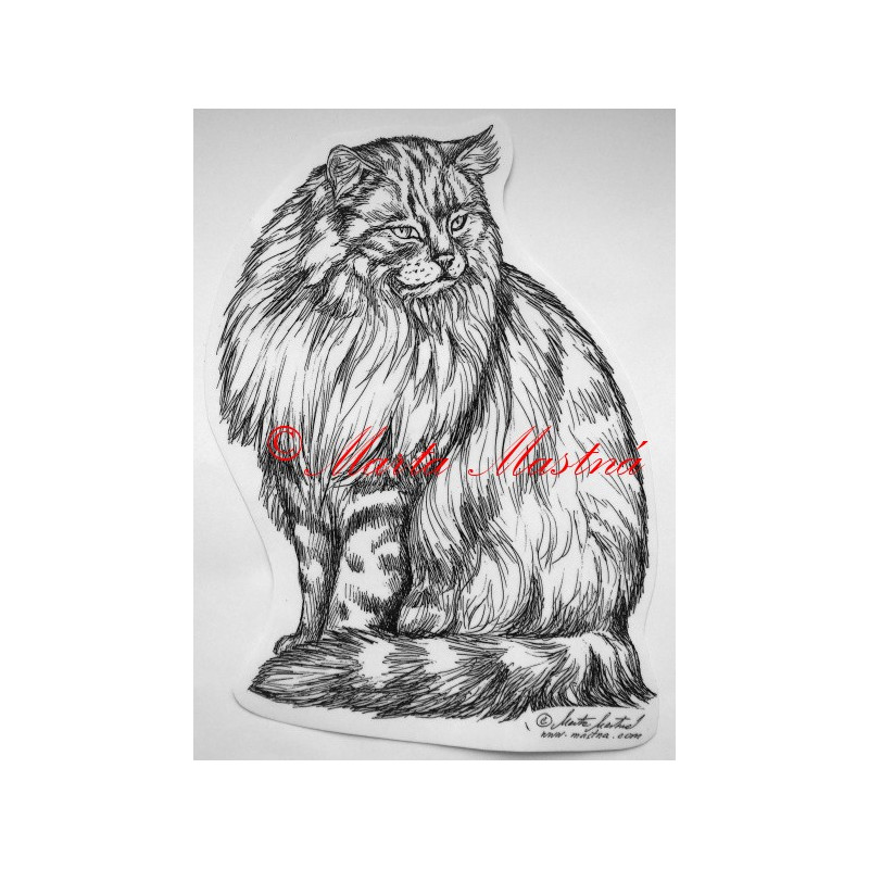 Kočka norská lesní