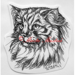 Kočka norská lesní