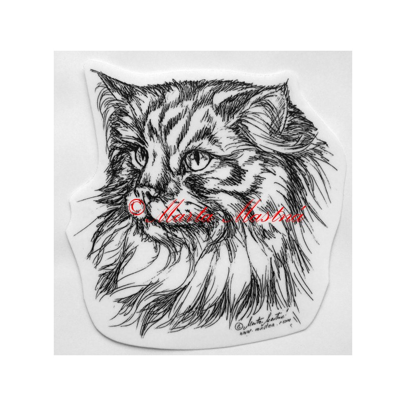 Kočka norská lesní