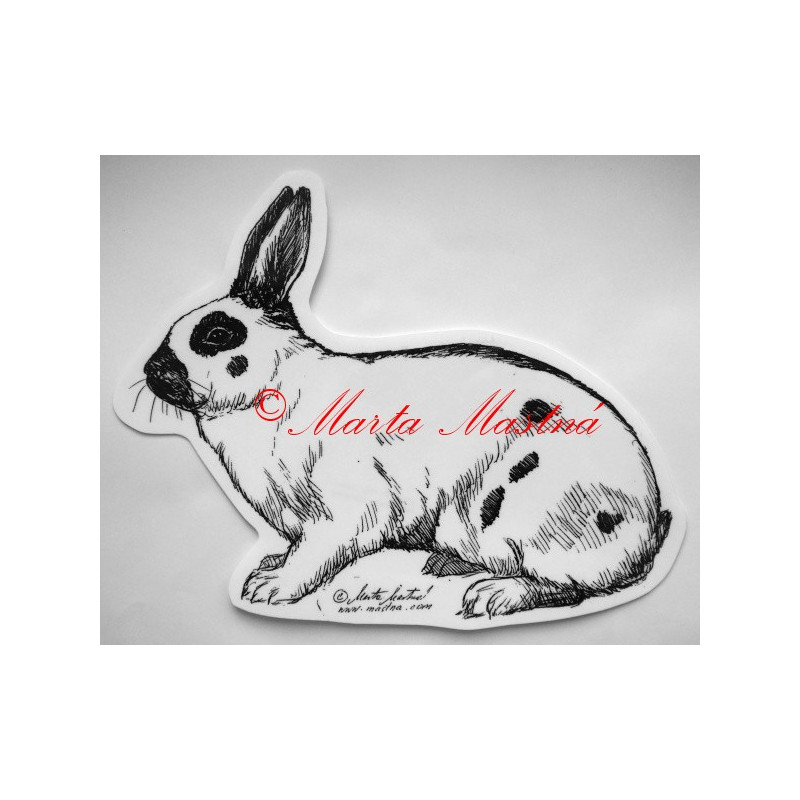 Králík český strakáč