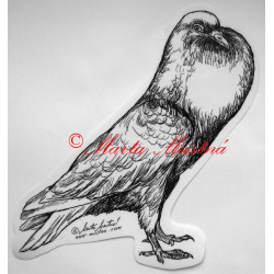 Holub český stavák