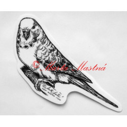 Papoušek vlnkovaný - andulka