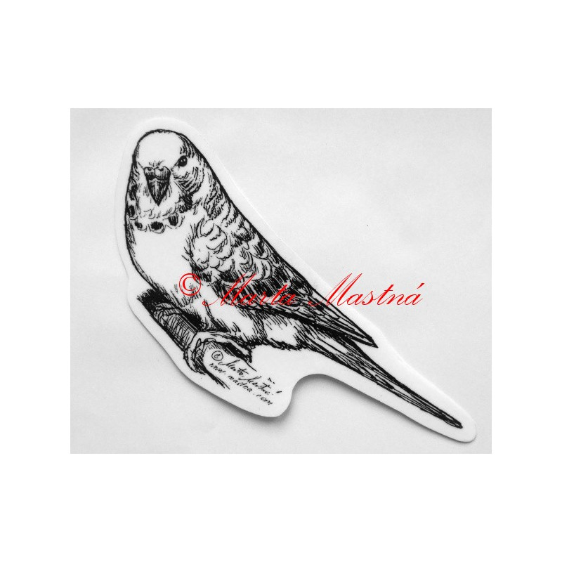 Papoušek vlnkovaný - andulka