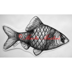 Akvarijní ryba, parmička