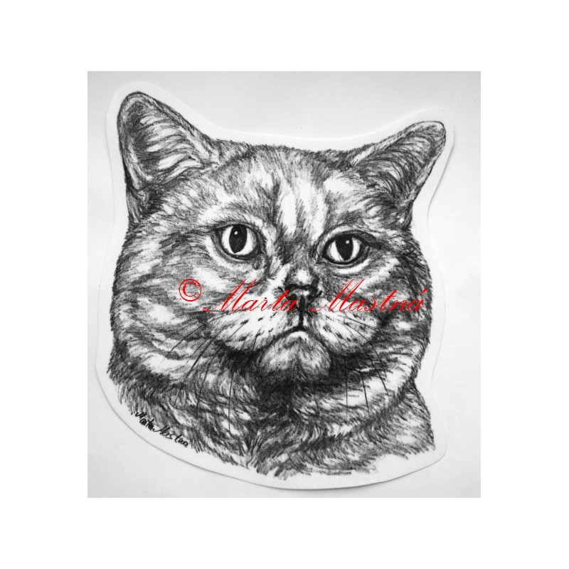 Kočka krátkosrstá