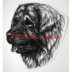 Šarplaninský pastevecký pes - šarplaninec