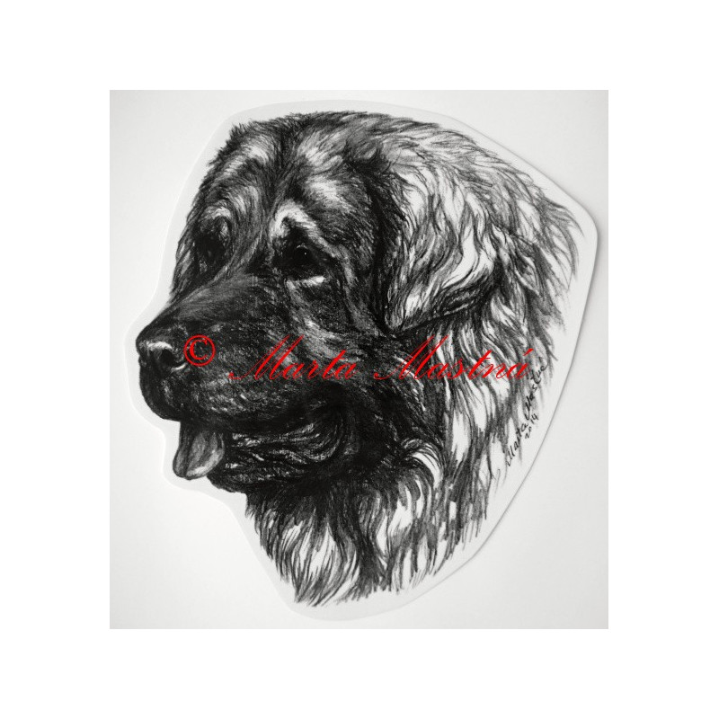 Šarplaninský pastevecký pes - šarplaninec