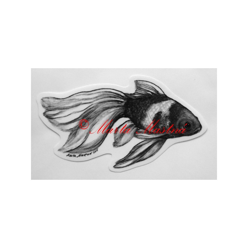 Ryba akvarijní závojnatka