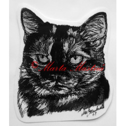 Kočka krátkosrstá želvovinová