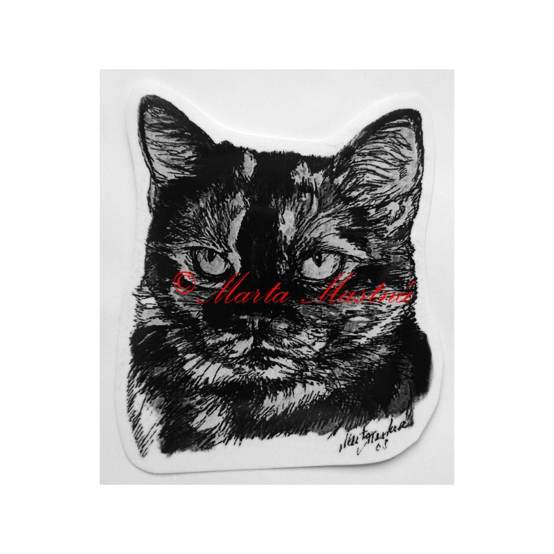 Kočka krátkosrstá želvovinová