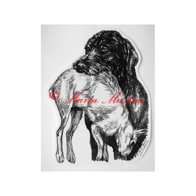 Český fousek, německý ohař