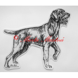 Český fousek, německý ohař