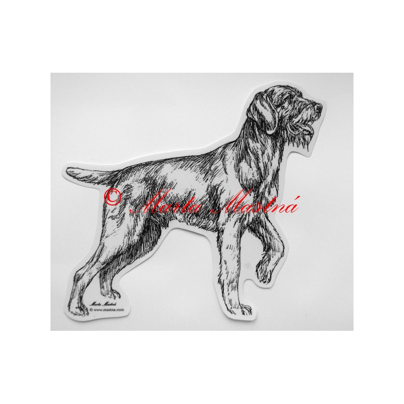 Český fousek, německý ohař