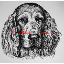 Německý křepelák