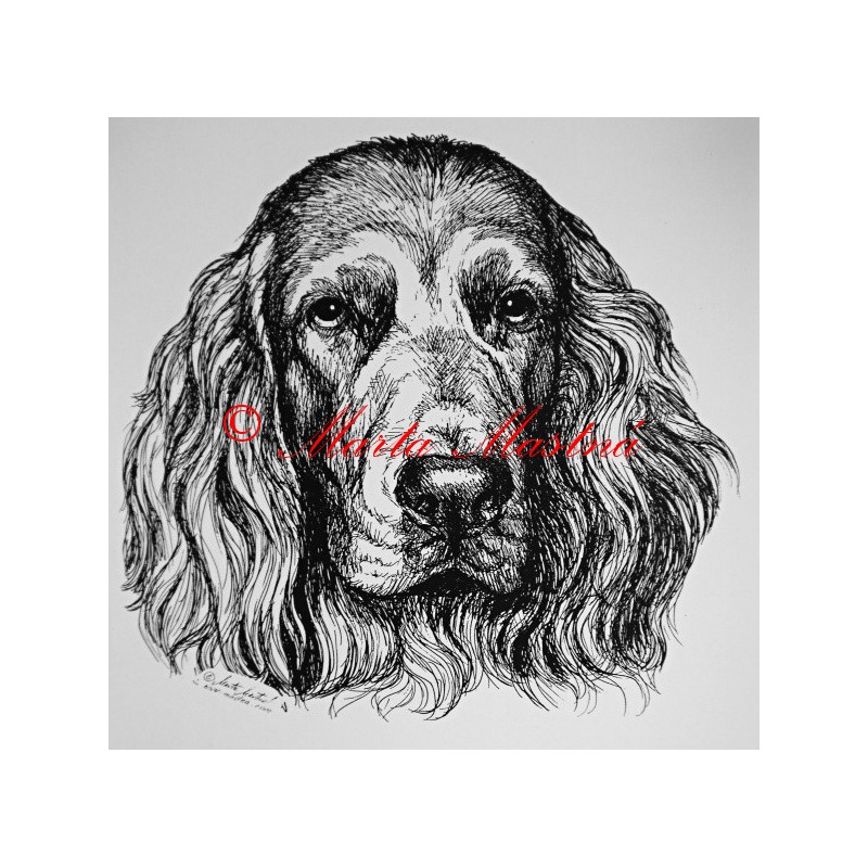 Německý křepelák