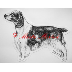 Velššpringršpaněl