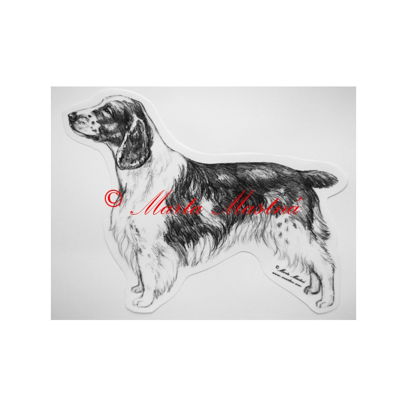 Velššpringršpaněl