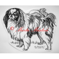 Japan chin - japončík