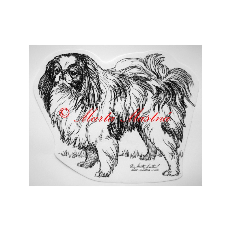 Japan chin - japončík