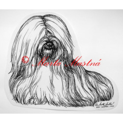 Lhasa apso