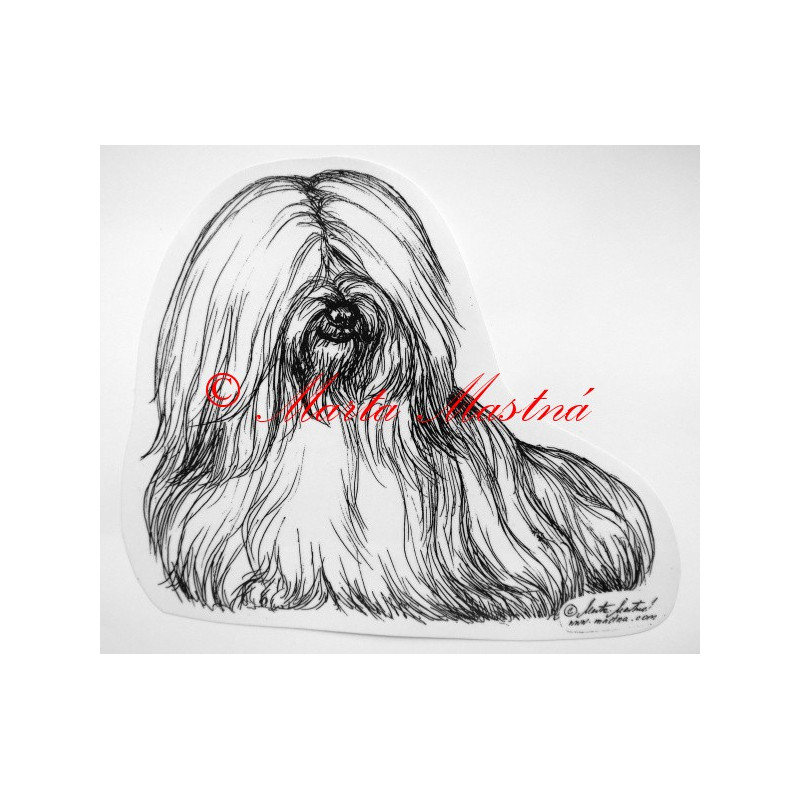 Lhasa apso