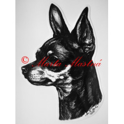 Pražský krysařík