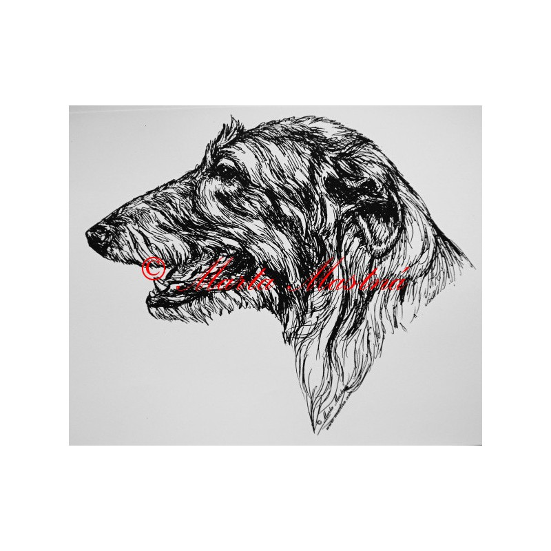 Skotský jelení pes - deerhound