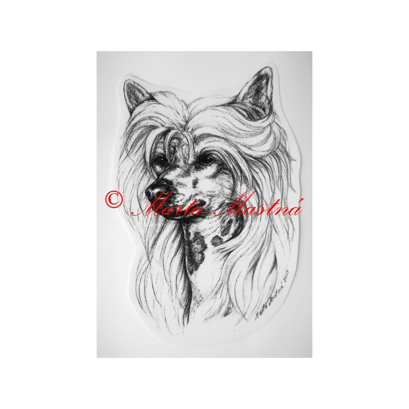 Čínský chocholatý pes