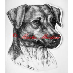 Český strakatý pes