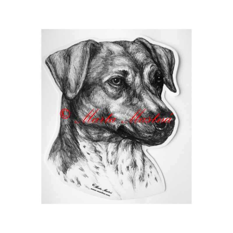 Český strakatý pes