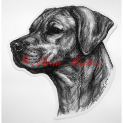 Rhodéský ridgeback