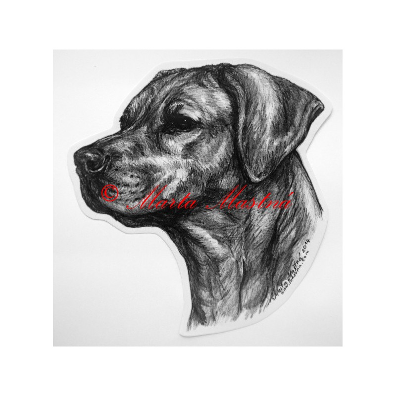 Rhodéský ridgeback