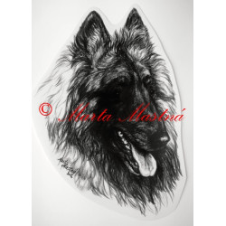 Belgický ovčák tervueren