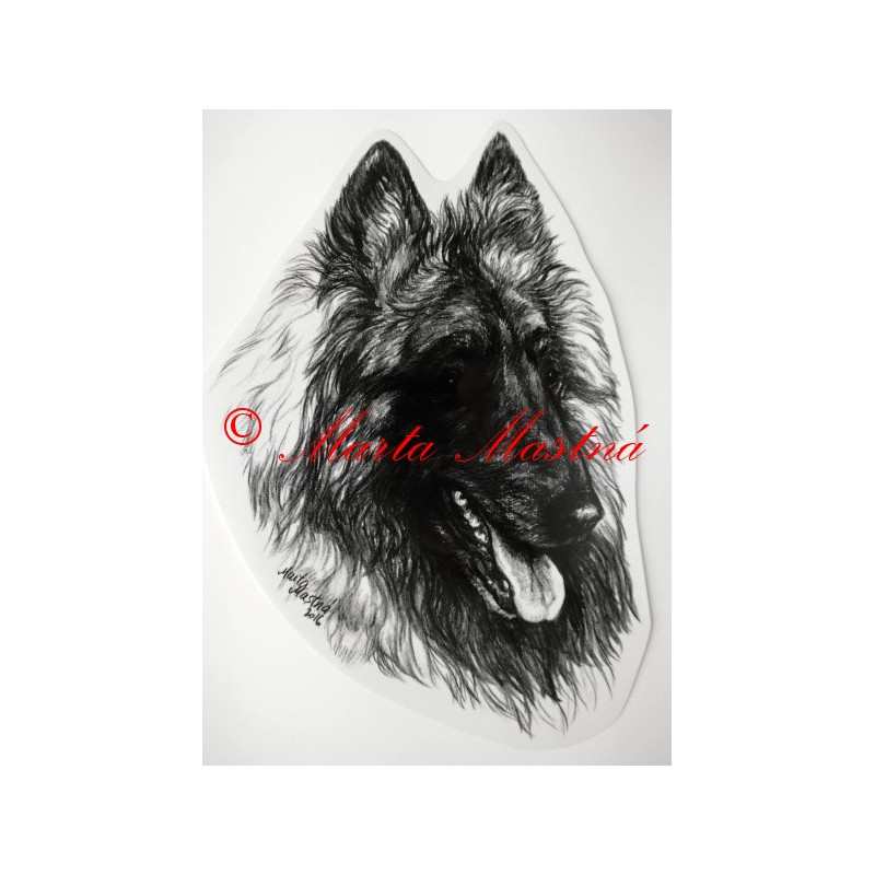 Belgický ovčák tervueren