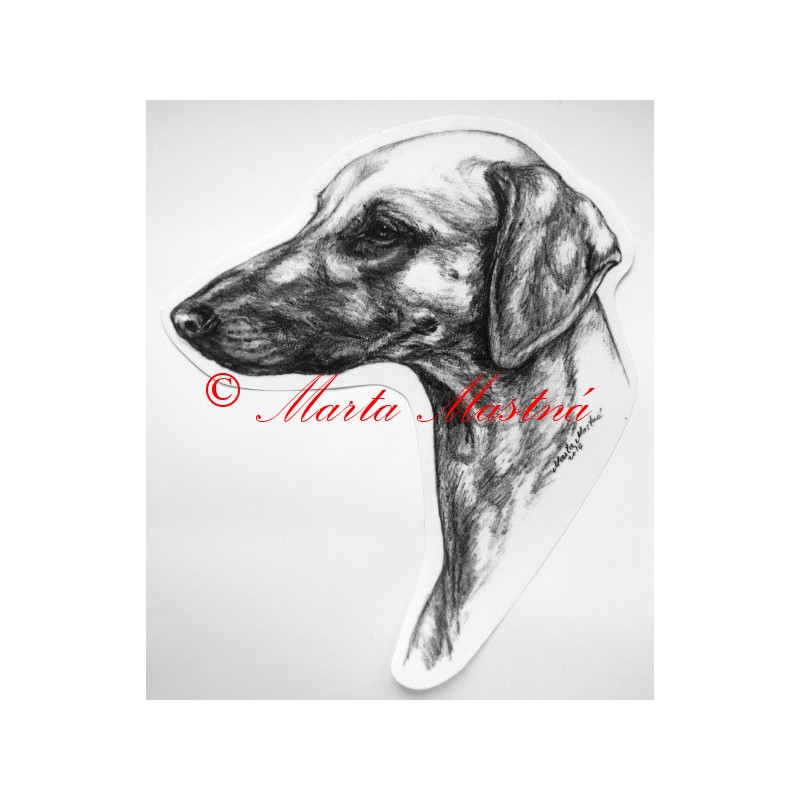 Arabský chrt - sloughi