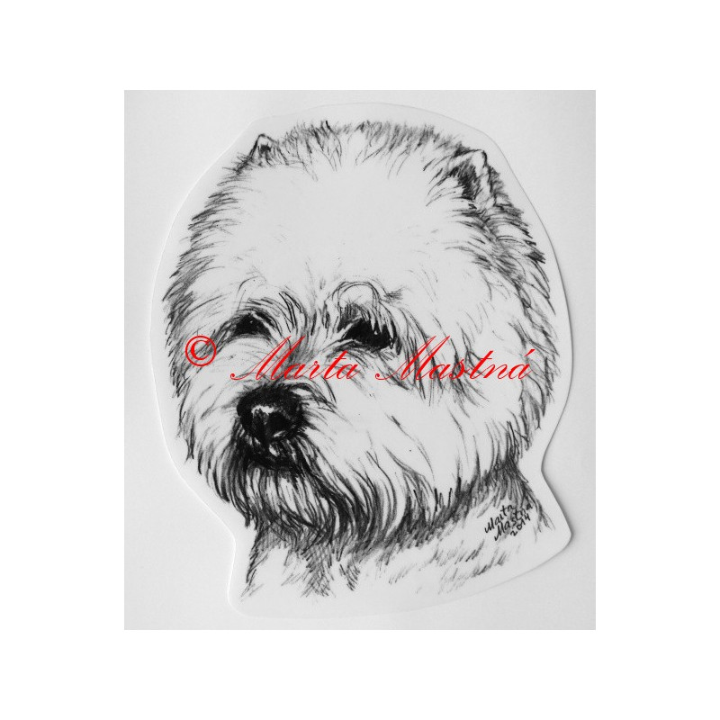 West highland terier - vestík