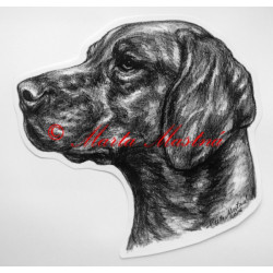 Maďarský ohař, vyžla