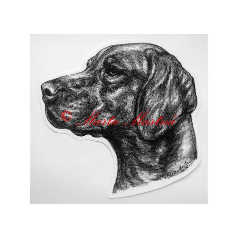 Maďarský ohař, vyžla