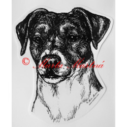 Parson Russel teriér