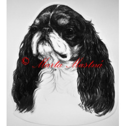 King Charles španěl