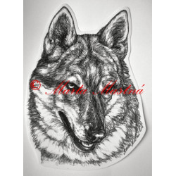 Československý vlčák, vlk