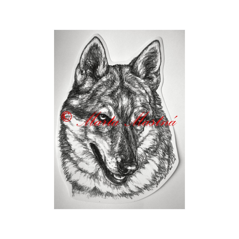 Československý vlčák, vlk