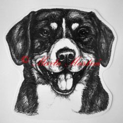 Entlebušský salašnický pes