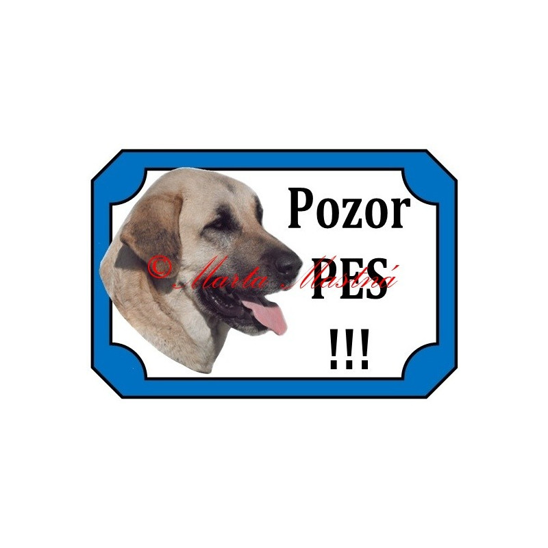 Tabulka anatolský pastevecký pes, kangal