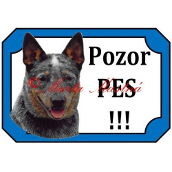 Tabulka australský honácký pes