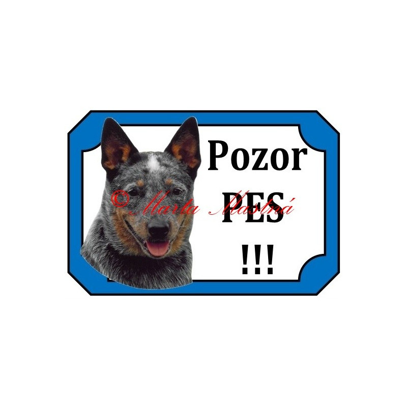 Tabulka australský honácký pes