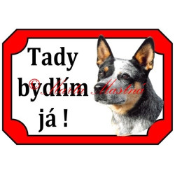 Tabulka australský honácký pes